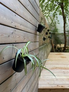 Blumentopf hängend an einer Holzwand, im Hintergrund hängen noch weitere Blumentöpfe mit Pflanzen