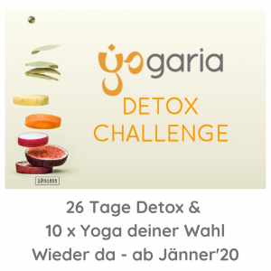 Yogaria Detox Challenge Titelbild, man sieht geschnittenes frisches Obst und Gemüse und den Schriftzug der Detox Challenge