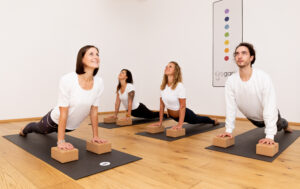 Updog Yogaria LehrerInnen